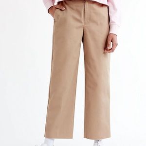 Aritzia TNA Skater Pant